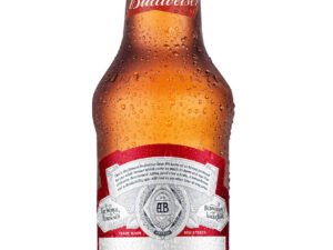 Cerveja Budweiser American Lager Long Neck 330ml